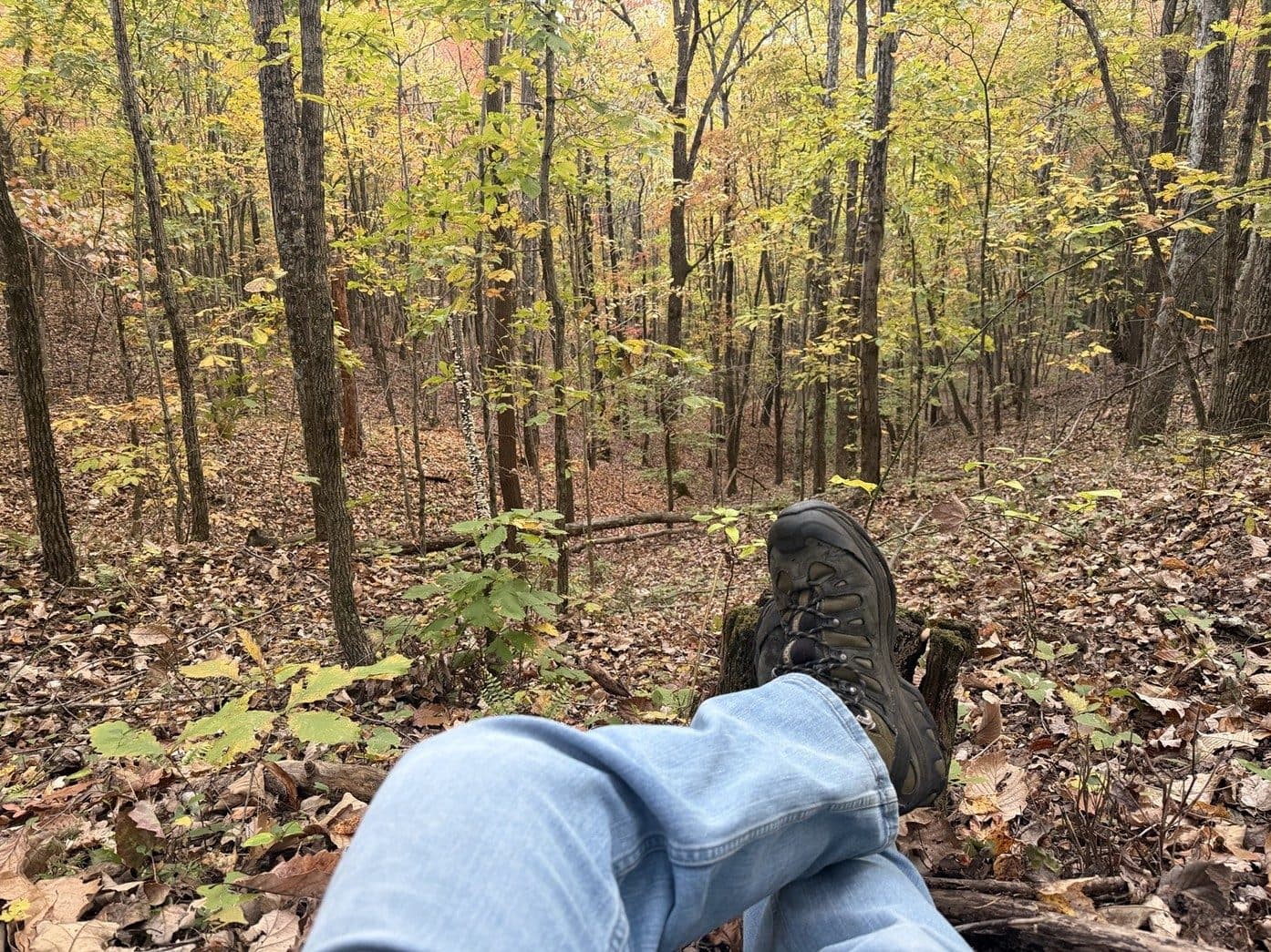 Boots crossed and propped on a stump, looking out over a hardwood forest in fall color.