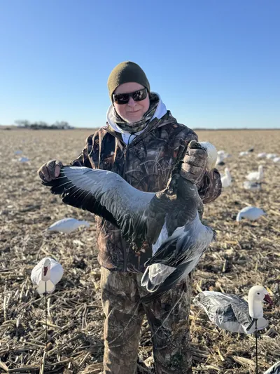 A hunter holds a blue goose in a field.
