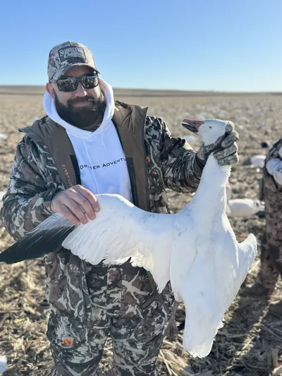 A hunter holds up a snow goose with its wings spread.