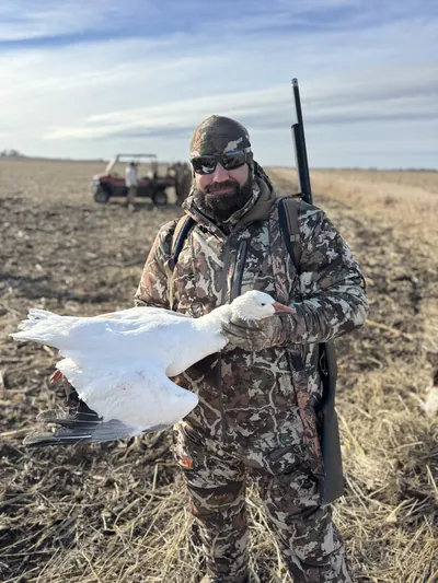 A hunter with a shotgun holds a snow goose.
