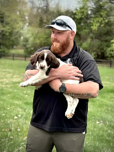 A man holds a springer spaniel puppy in a yard.