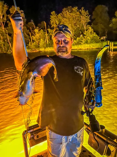 A fish still on a bowfishing arrow.