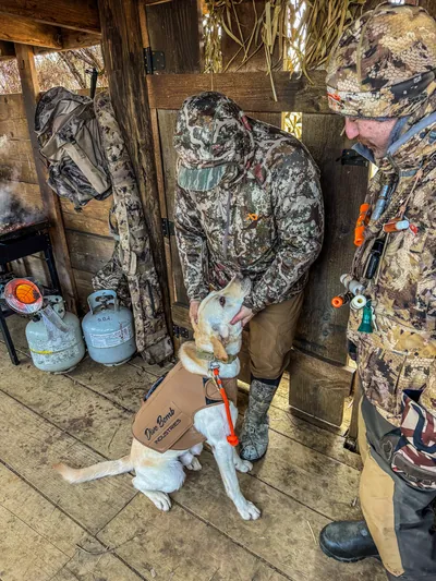 A hunter pets a young Labrador in a duck blind.