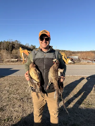 A hunter holds pheasants beside a road.