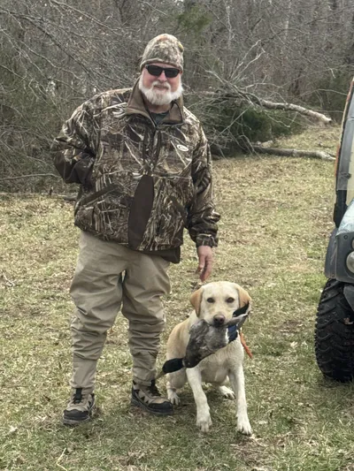 A hunter and a yellow Labrador with a retrieved duck.