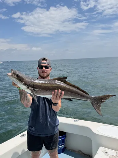 An angler holds a cobia on a charter boat.