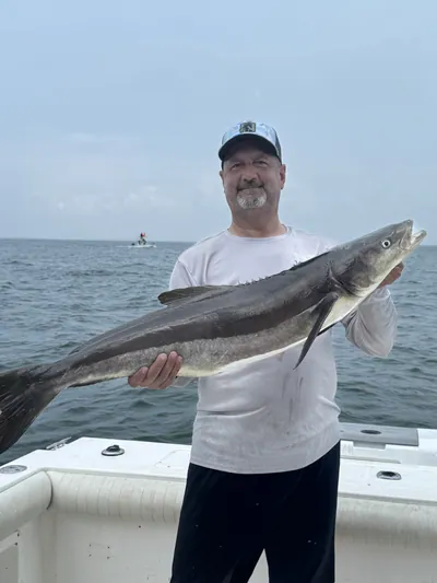 An angler holds up a cobia.