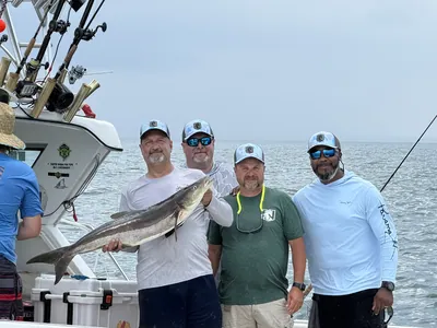 Four anglers hold a cobia on a charter boat.