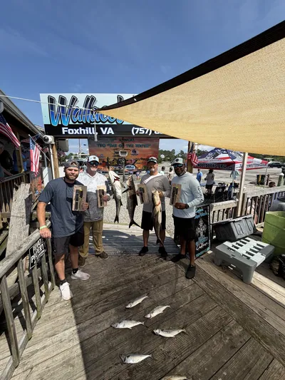 The day's catch laid out on a bait shop dock.