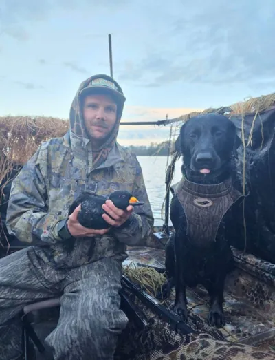 A hunter and a black Labrador in a duck blind with a scoter.