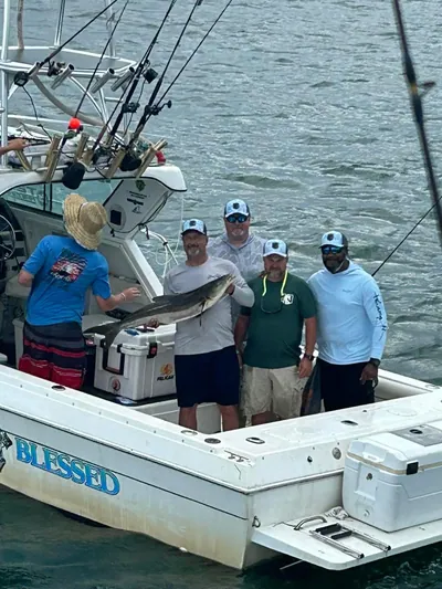 A charter crew with a cobia, seen from above.