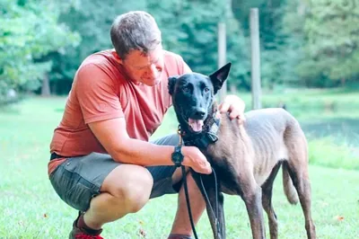 A man crouches beside a Belgian Malinois on a lawn.