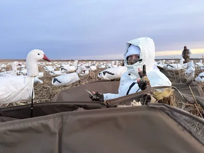 A hunter in white snow camouflage flashes a peace sign from a layout blind among snow goose decoys.